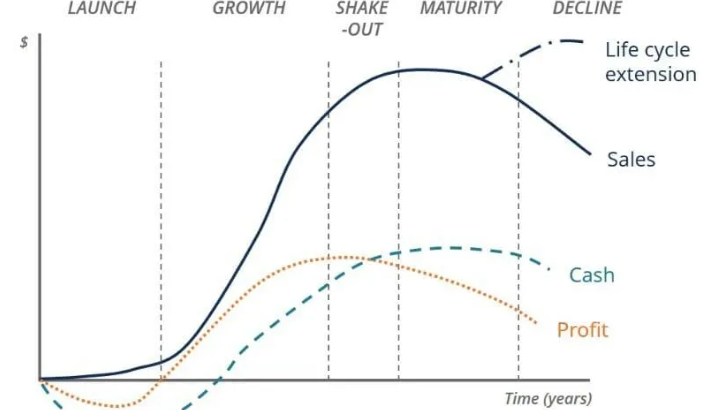 Cloud computing for small business growth scalability visualization showing peak and normal usage